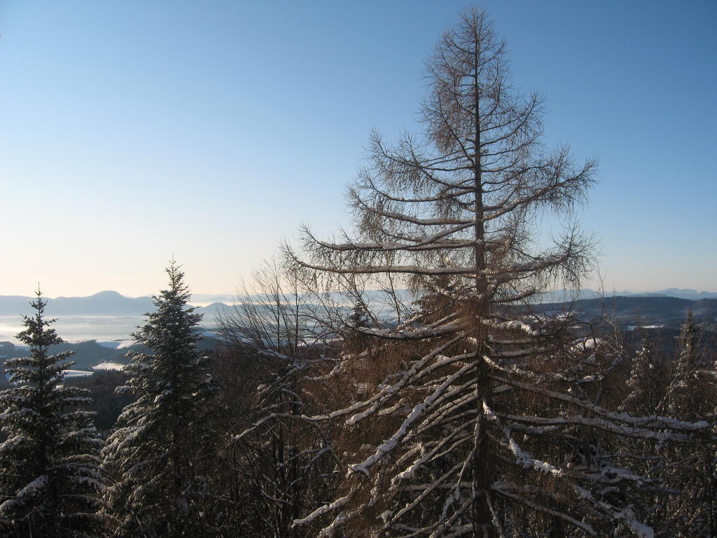 Hotel Zarja Hocko Pohorje Luaran gambar