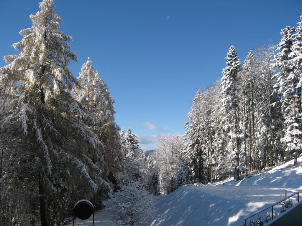 Hotel Zarja Hocko Pohorje Luaran gambar